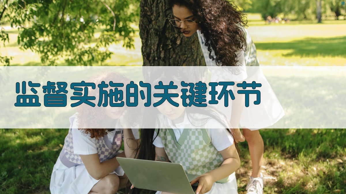 监督实施的关键环节 图3