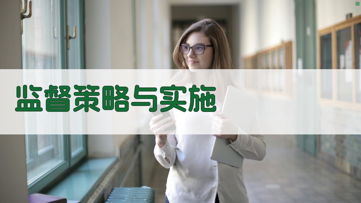 监督策略与实施 图2