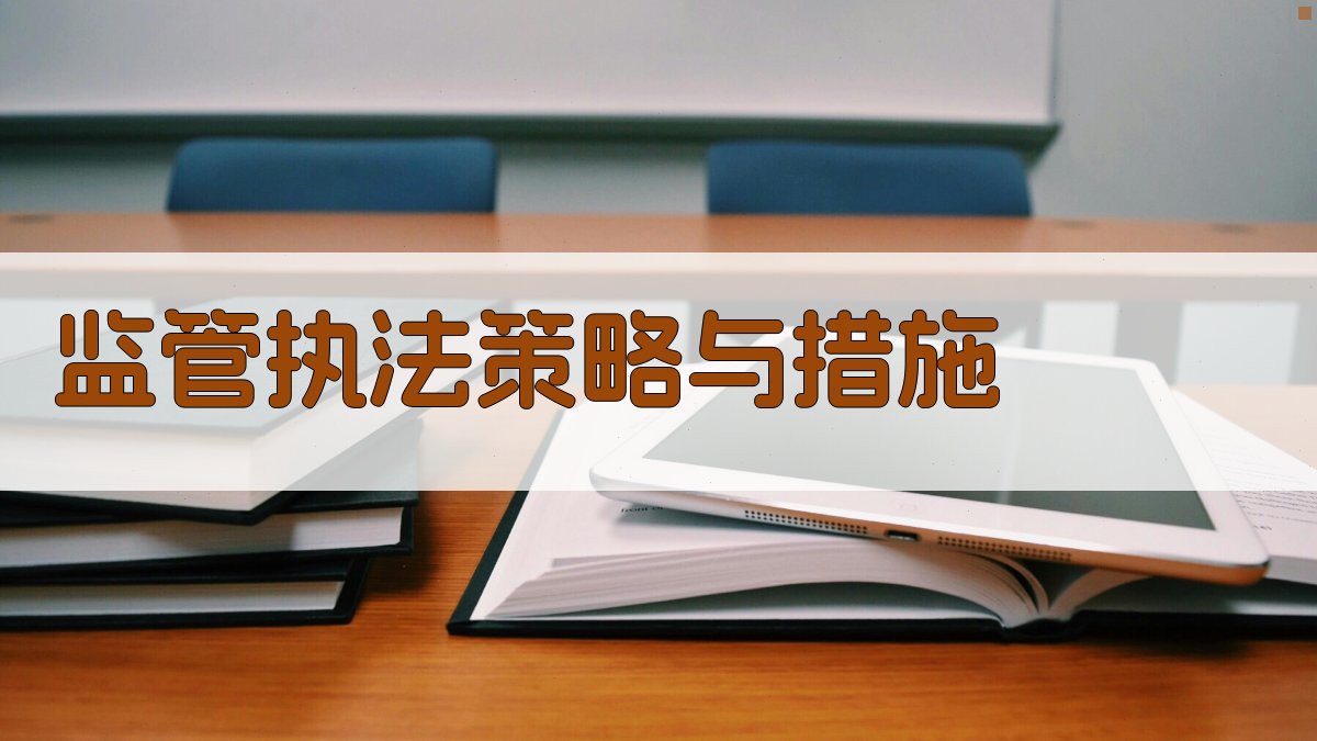 监管执法策略与措施 图2