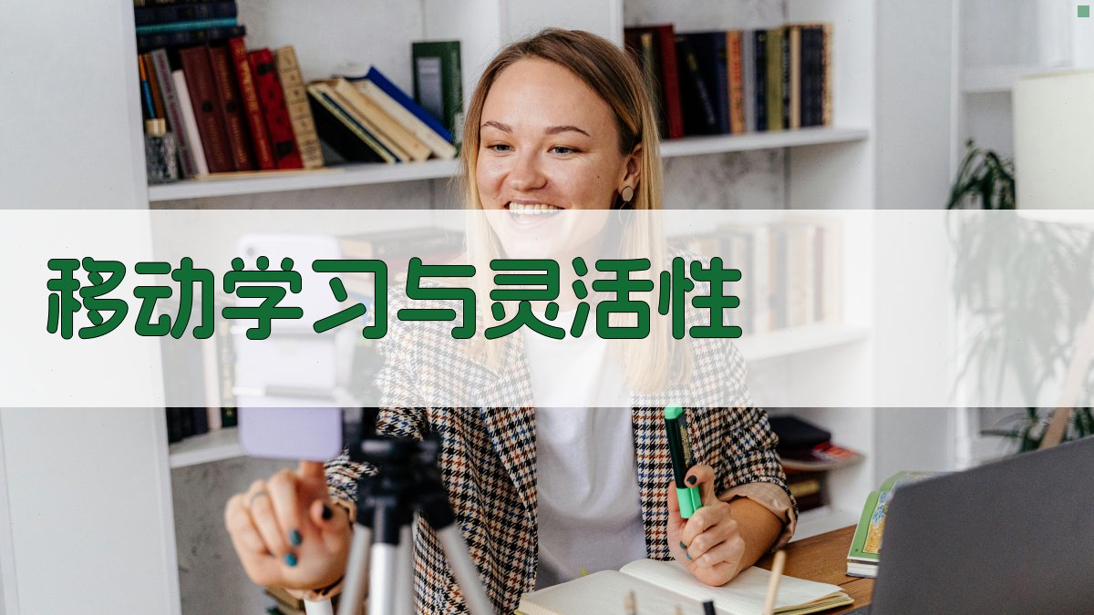 移动学习与灵活性 图3