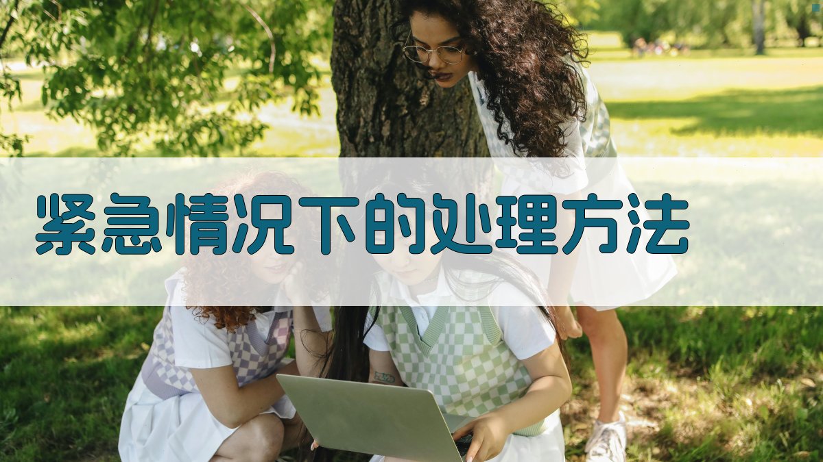 紧急情况下的处理方法 图1