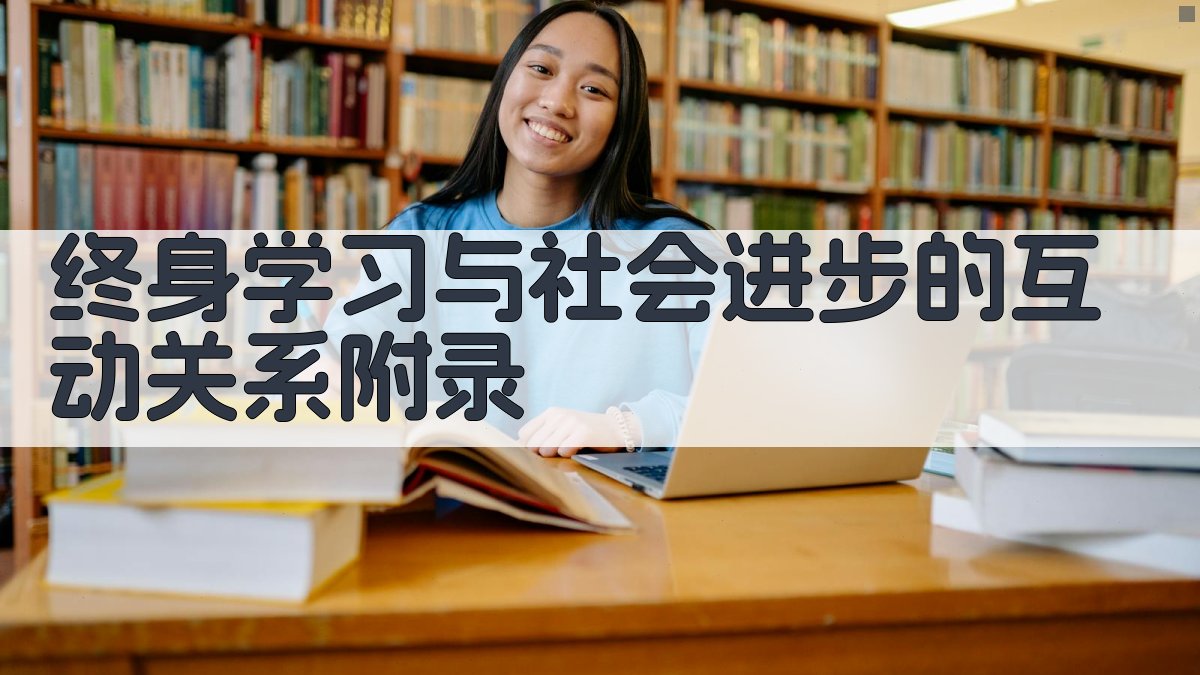 终身学习与社会进步的互动关系 · 附录 图2