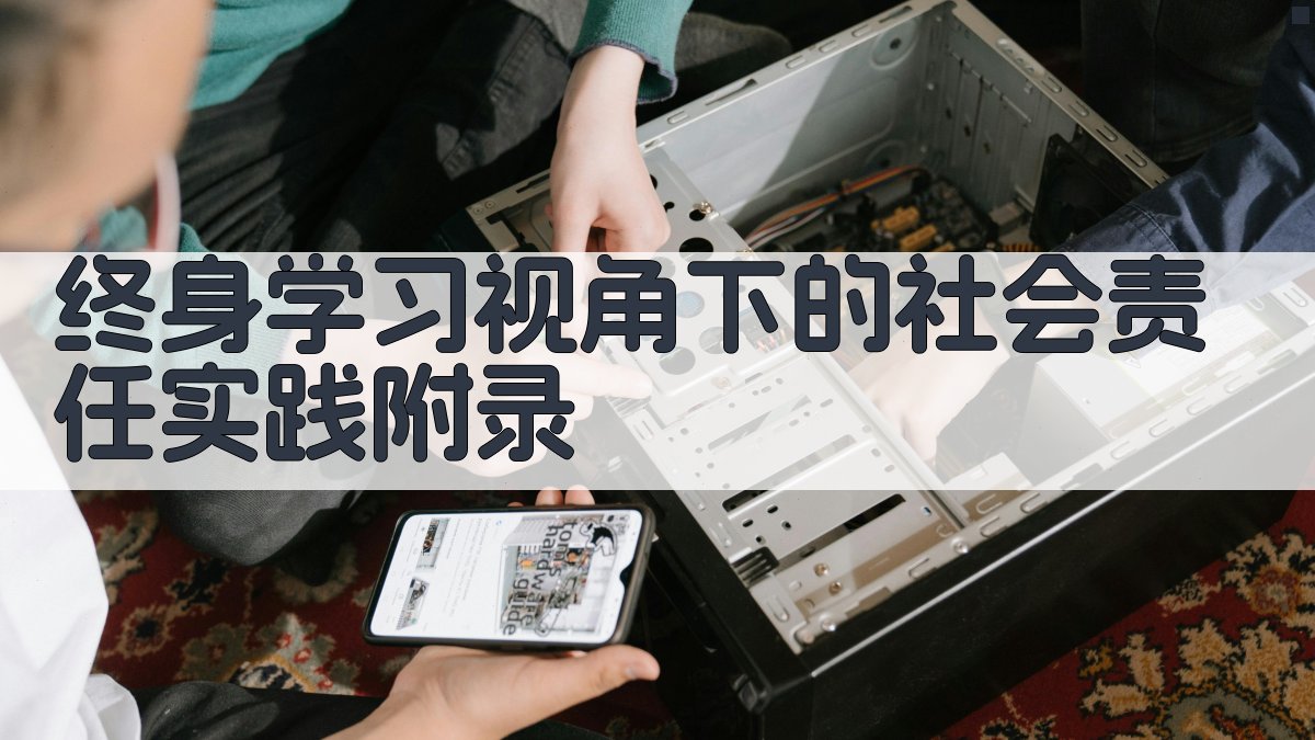 终身学习视角下的社会责任实践 · 附录 图2