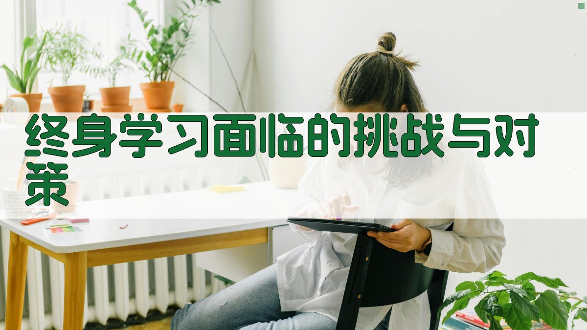 终身学习面临的挑战与对策 图3