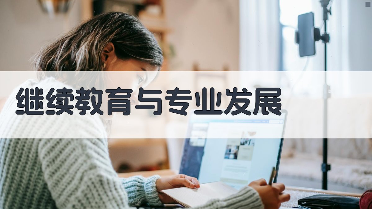 继续教育与专业发展 图3