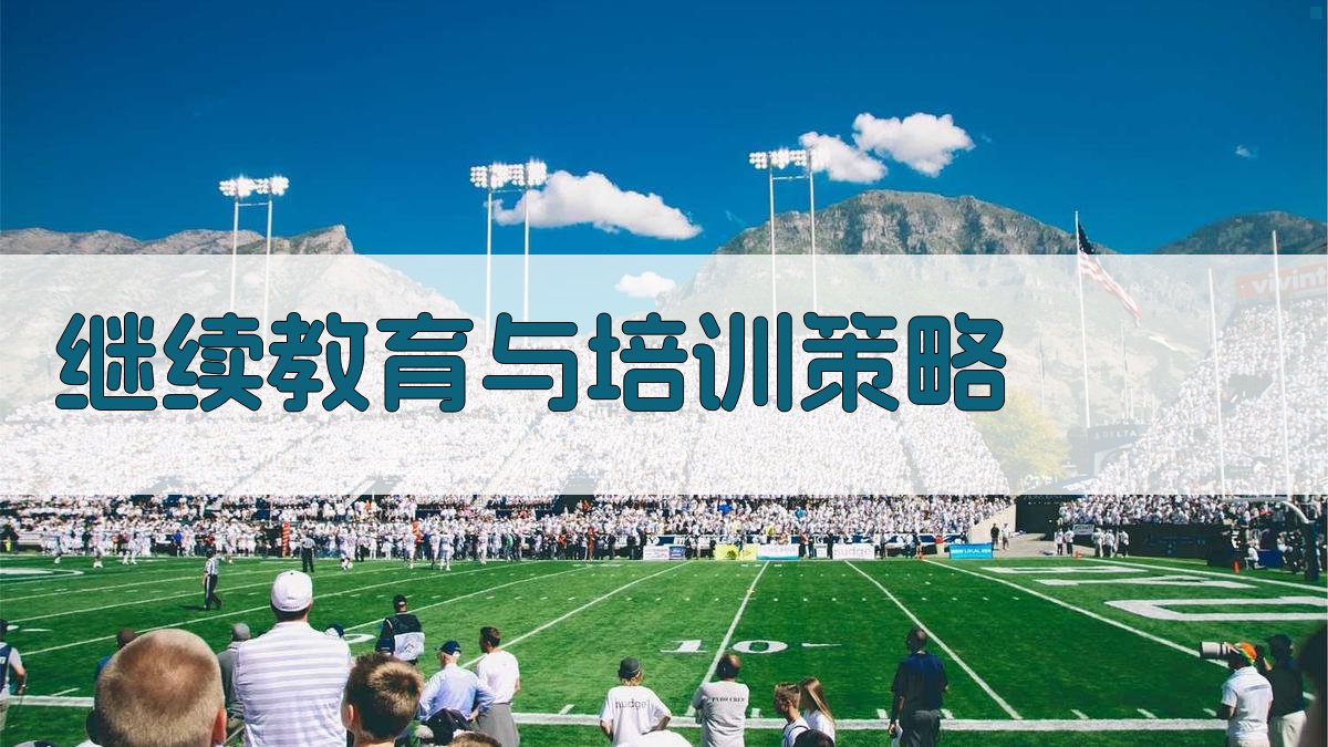 继续教育与培训策略 图3