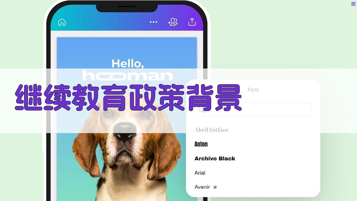 继续教育政策背景 图1