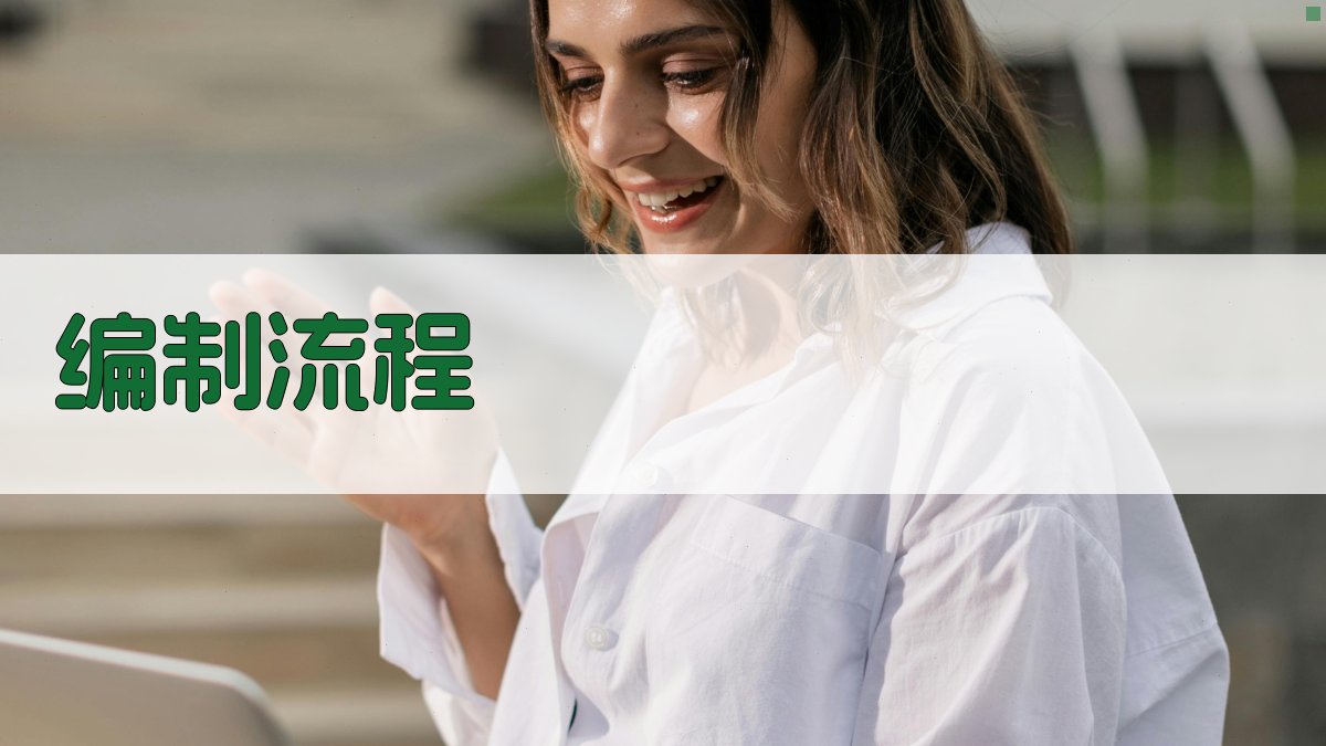 编制流程 图1