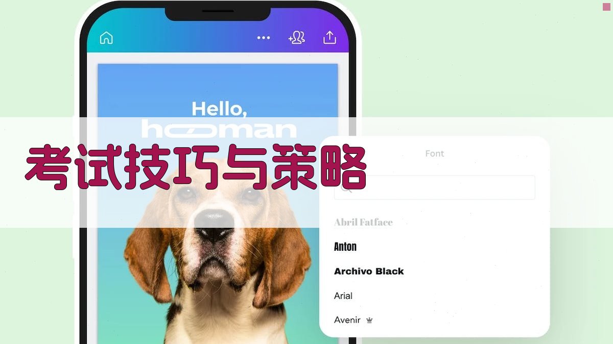 考试技巧与策略 图3