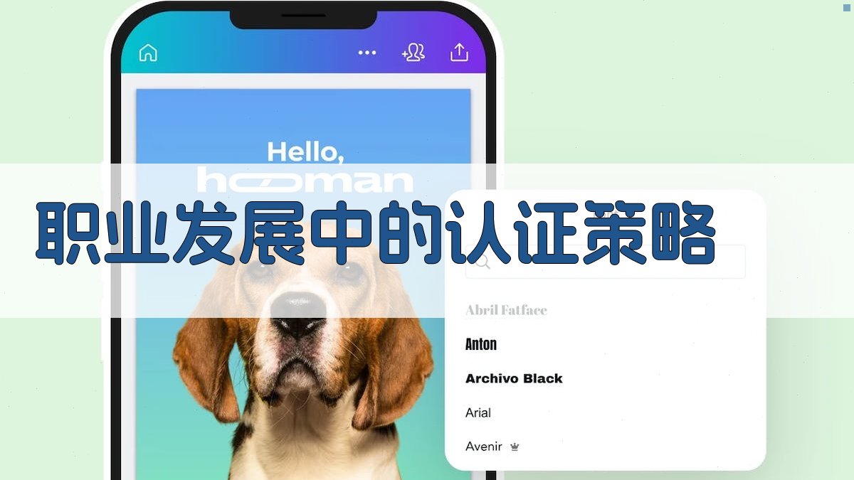 职业发展中的认证策略 图5