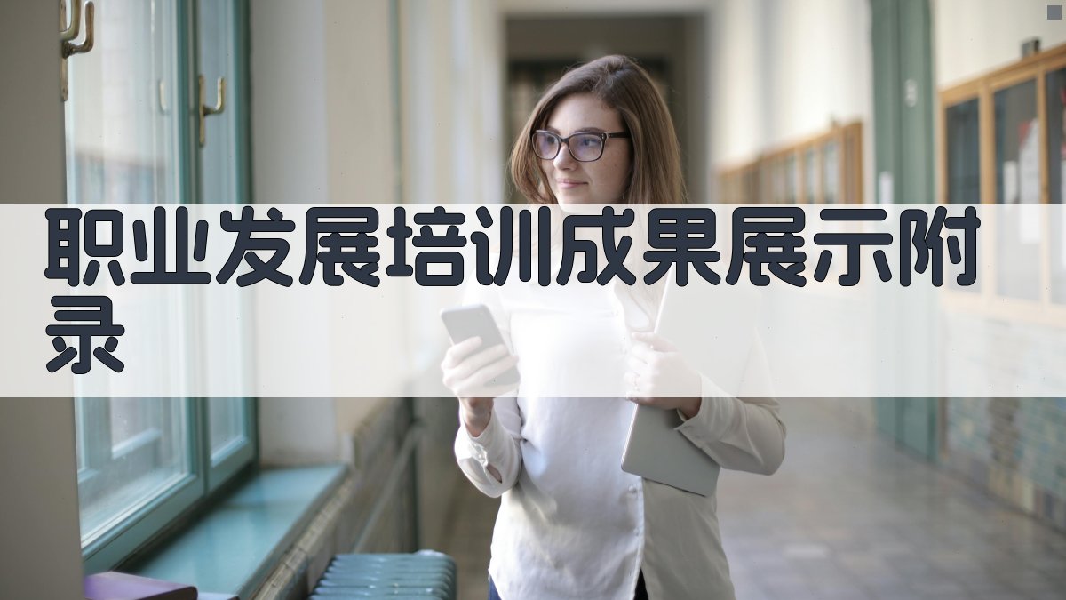 职业发展培训成果展示 · 附录 图1