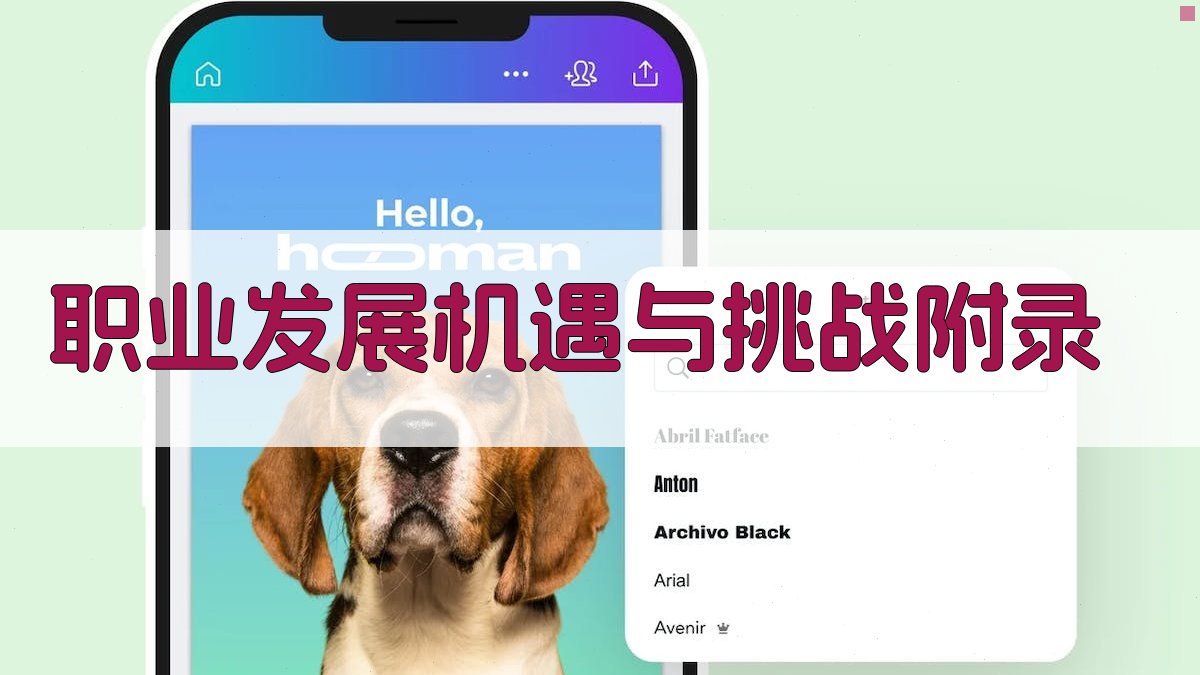 职业发展机遇与挑战 · 附录 图2