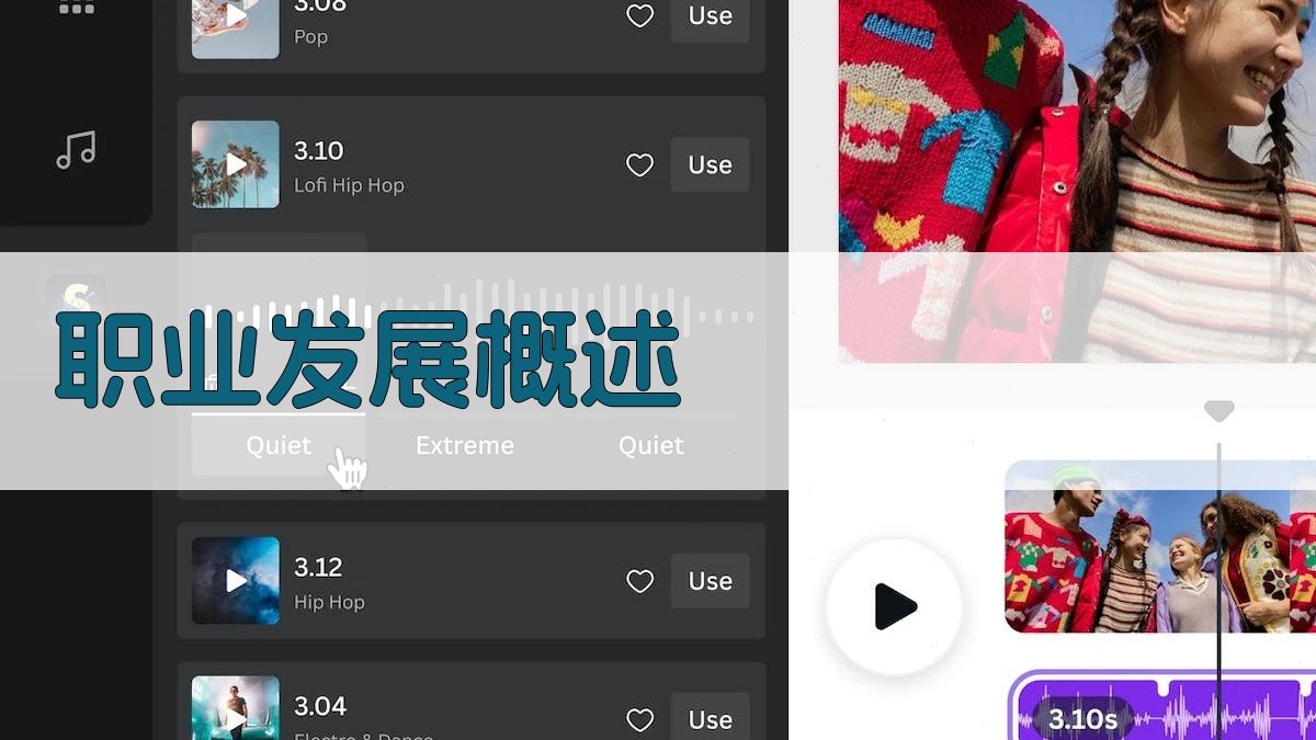 职业发展概述 图1