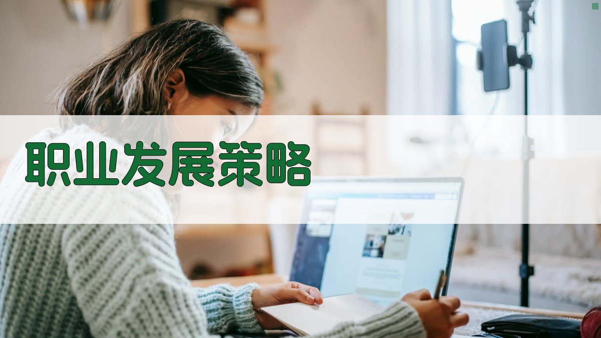 职业发展策略 图4