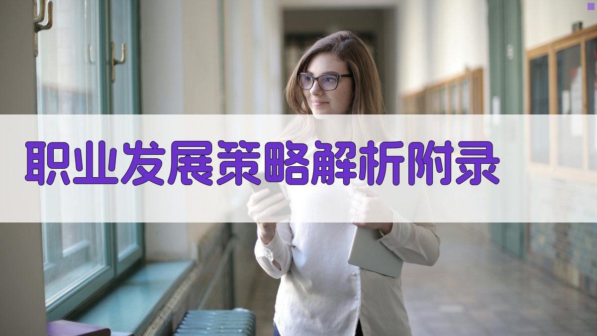 职业发展策略解析 · 附录 图4