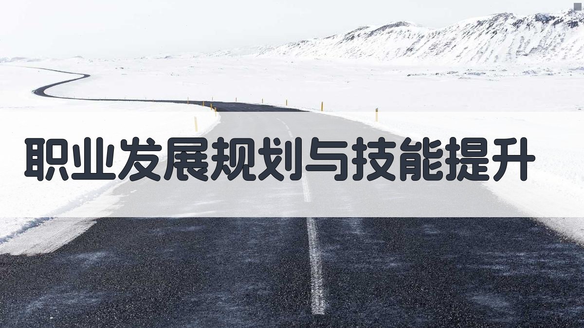 职业发展规划与技能提升 图2