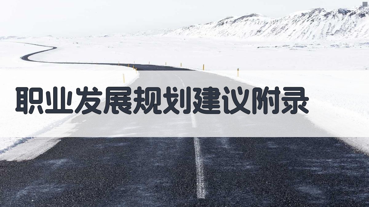 职业发展规划建议 · 附录 图2