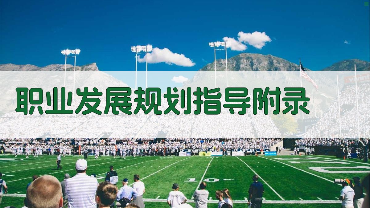 职业发展规划指导 · 附录 图2