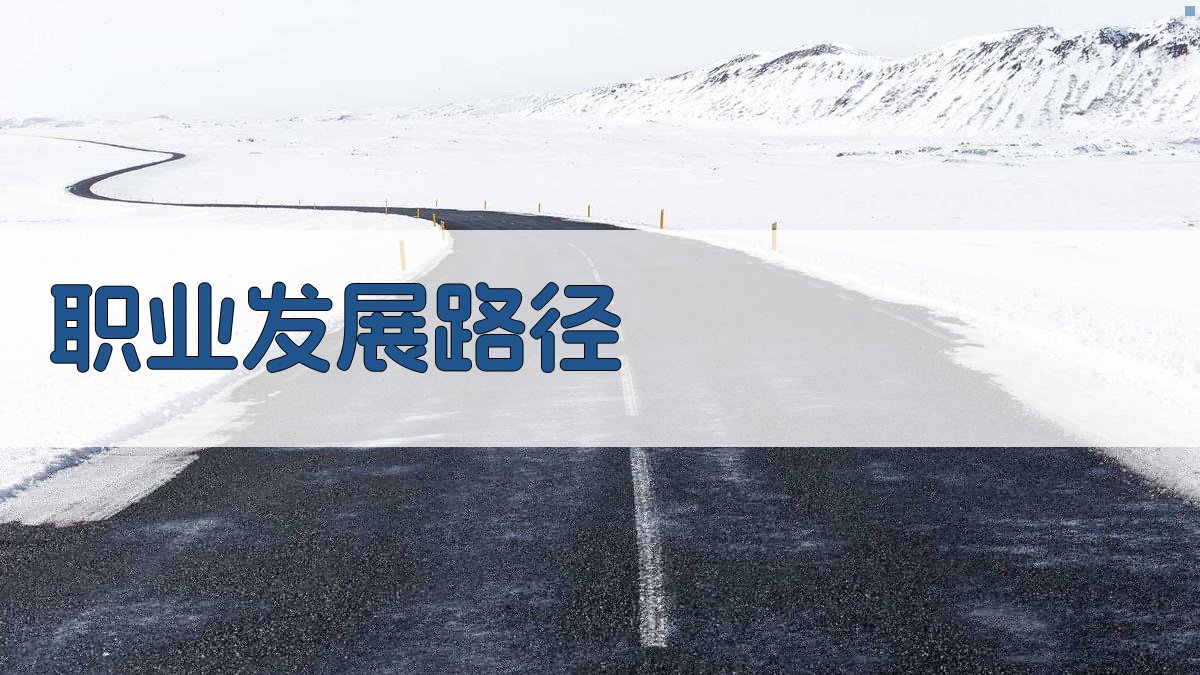 职业发展路径 图4