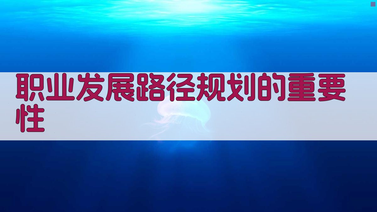 职业发展路径规划与实施策略