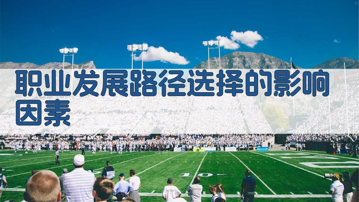 职业发展路径选择的影响因素 图4