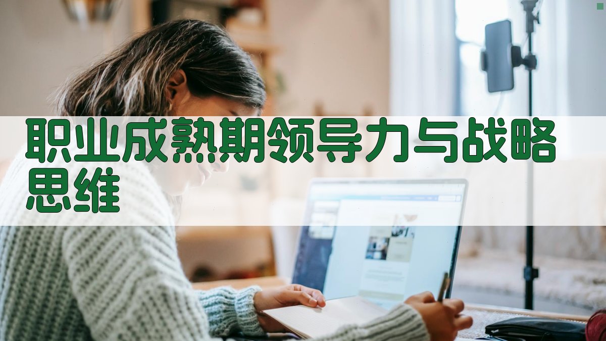职业成熟期领导力与战略思维 图2