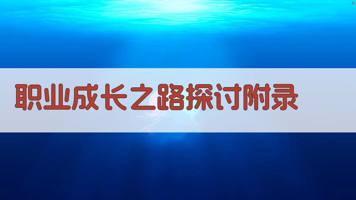 职业成长之路探讨 · 附录 图3