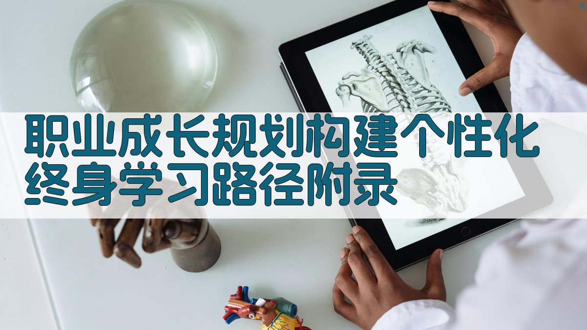 职业成长规划构建个性化终身学习路径 · 附录 图4