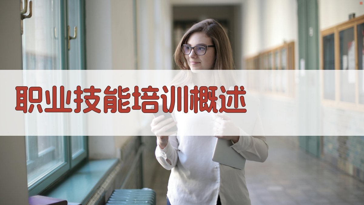 职业技能培训概述 图1