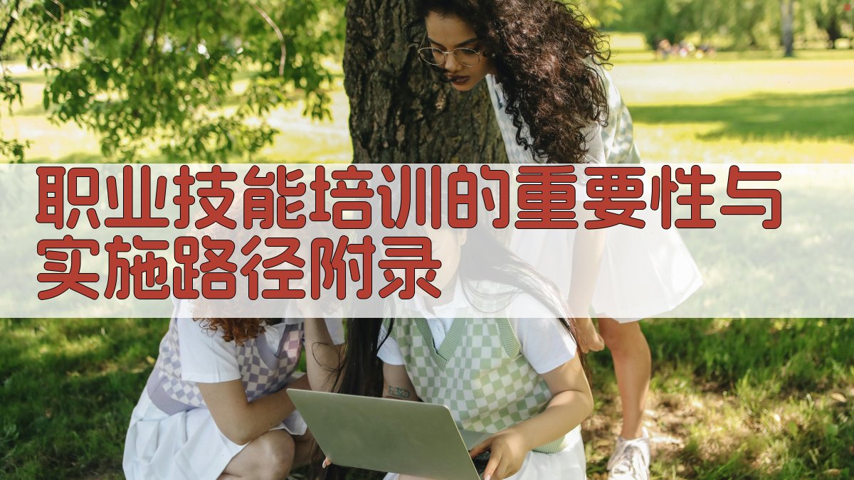 职业技能培训的重要性与实施路径 · 附录 图2