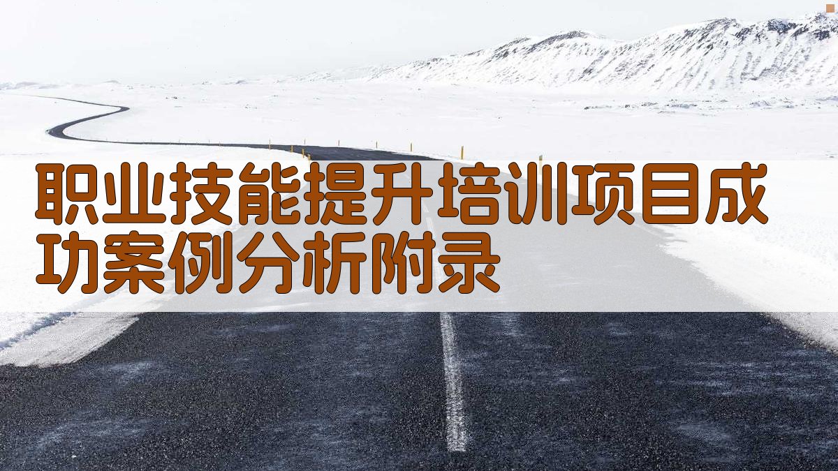 职业技能提升培训项目成功案例分析 · 附录 图3