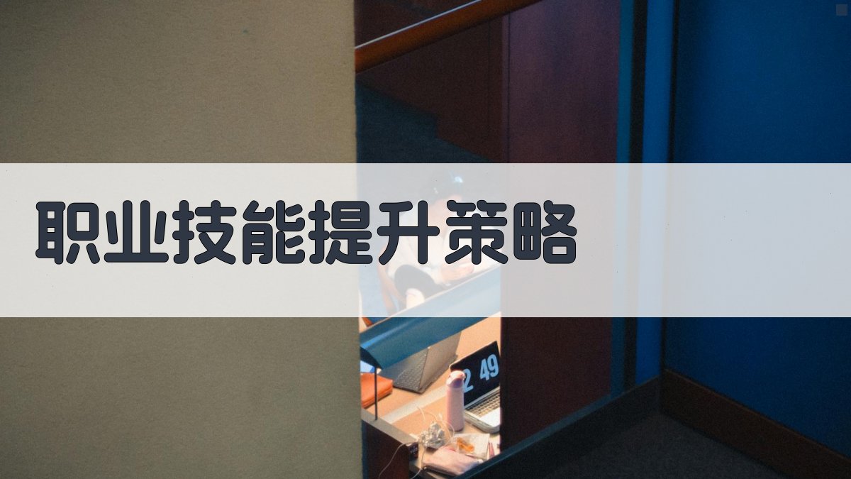 职业技能提升策略 图3