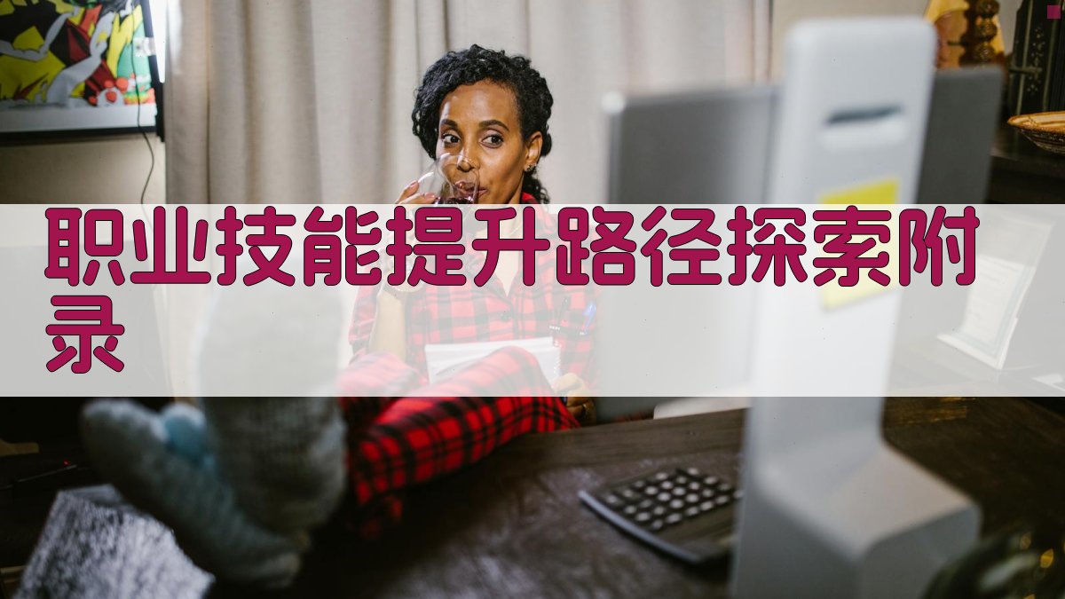 职业技能提升路径探索 · 附录 图1