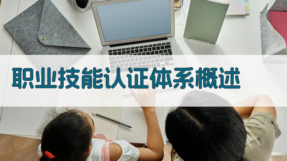 职业技能认证体系概述 图1