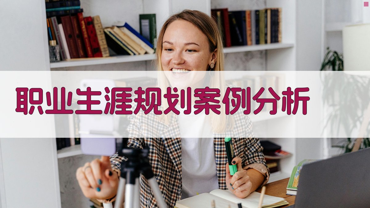 职业生涯规划案例分析 图2