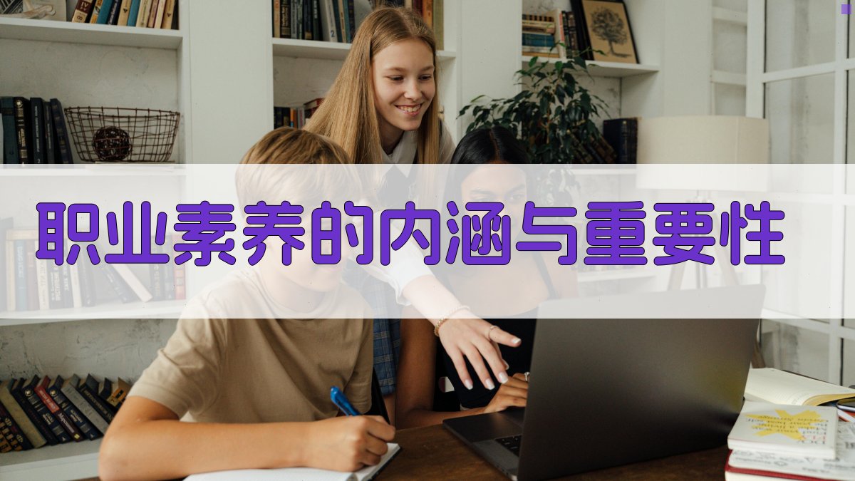 职业素养的内涵与重要性 图1