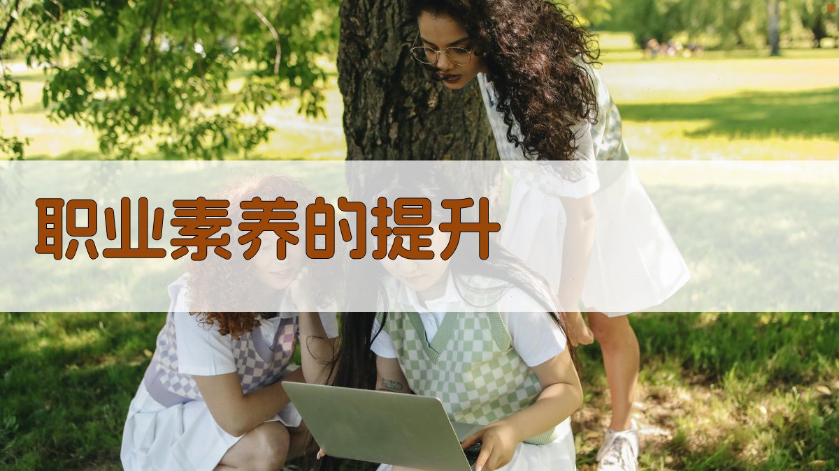 职业素养的提升 图3