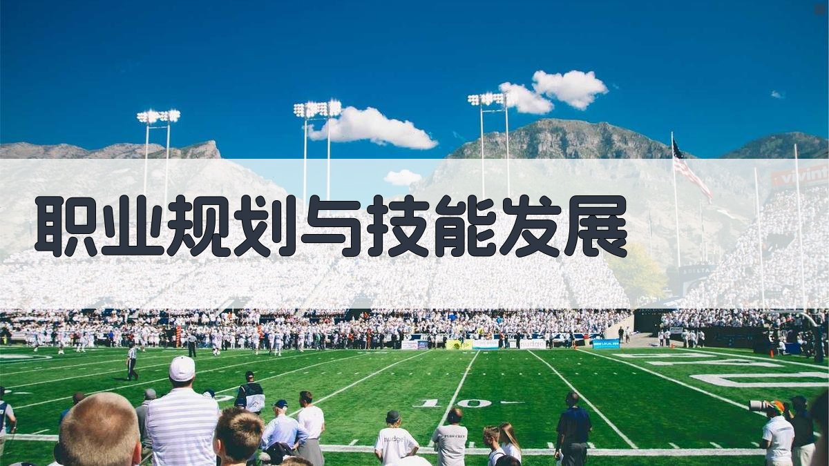 职业规划与技能发展 图3