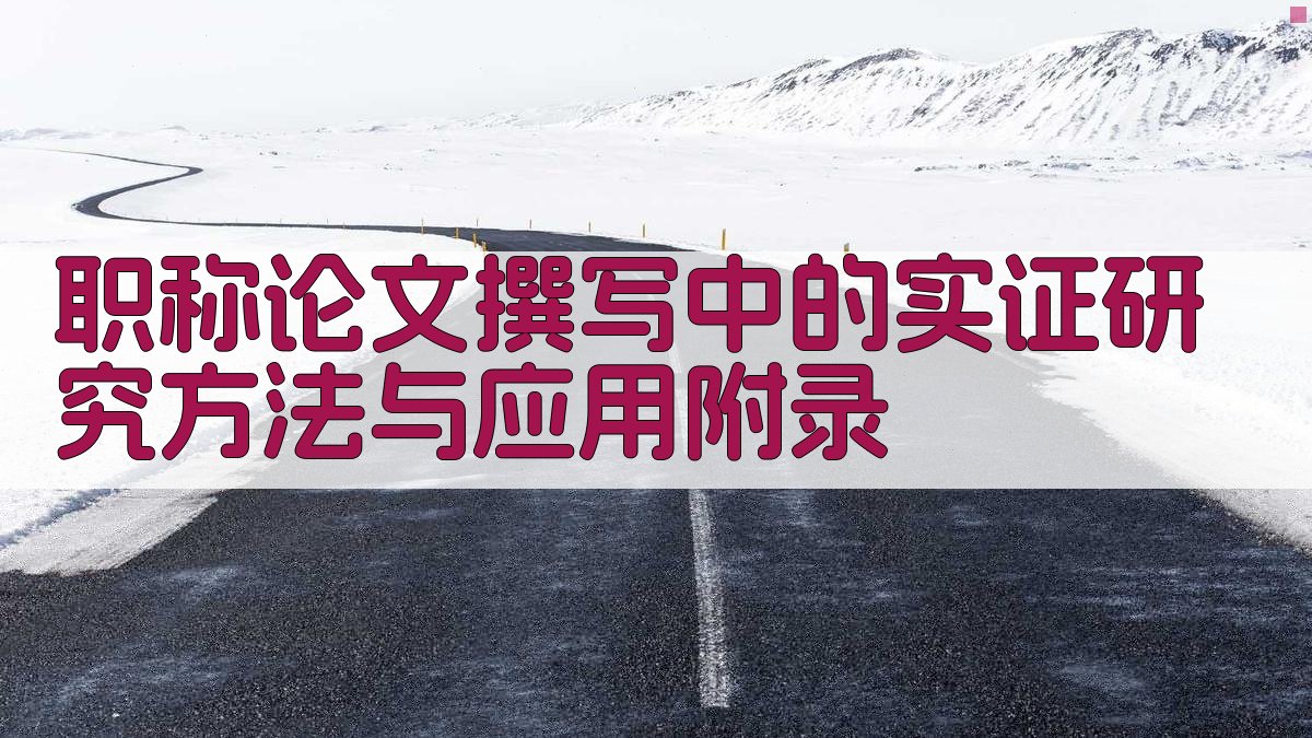 职称论文撰写中的实证研究方法与应用 · 附录 图2
