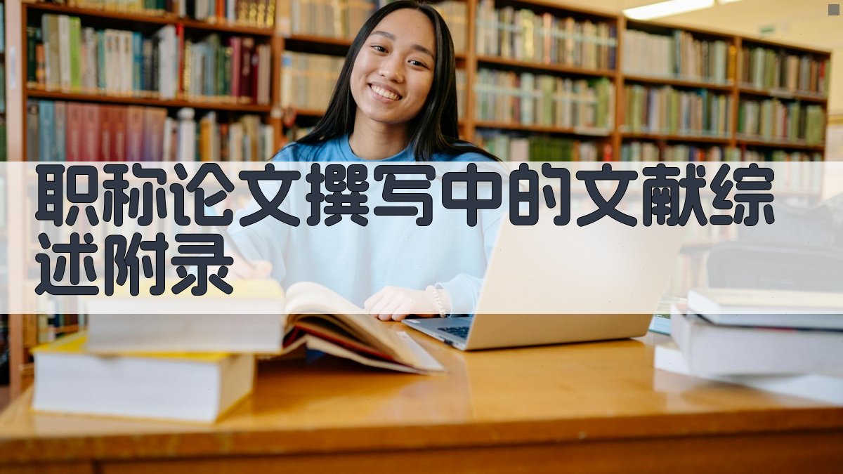 职称论文撰写中的文献综述 · 附录 图4