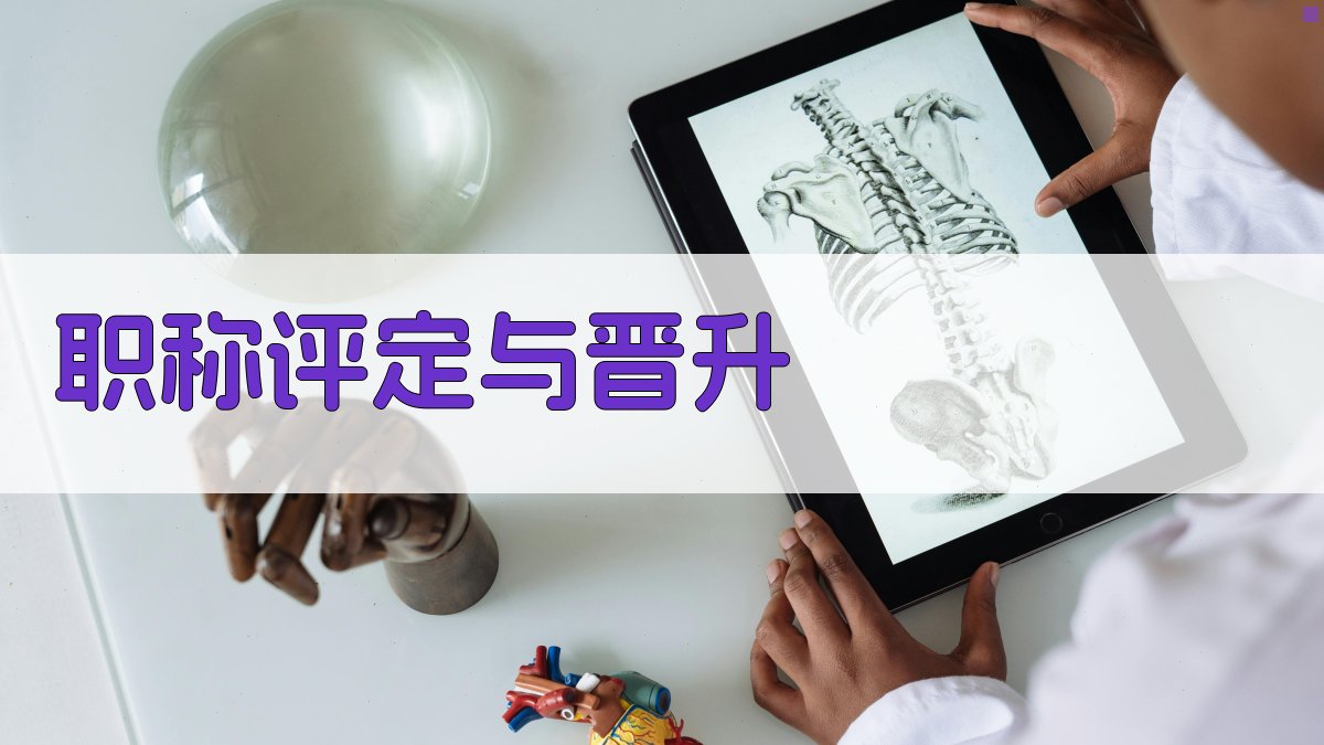 职称评定与晋升 图4