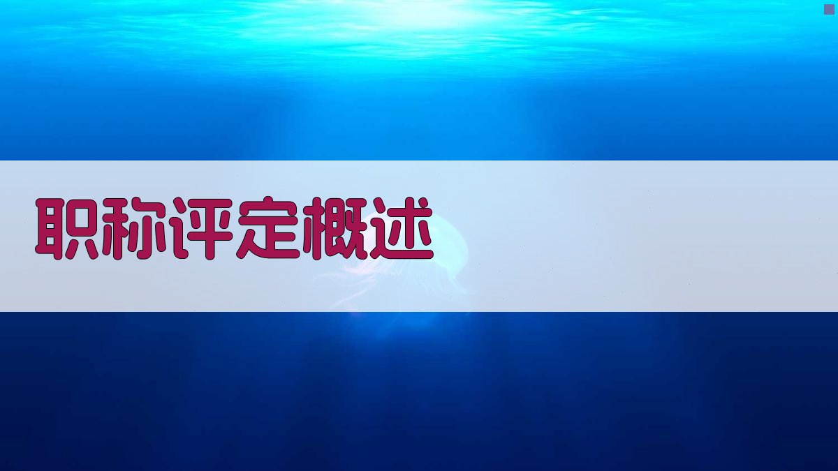 职称评定概述 图1