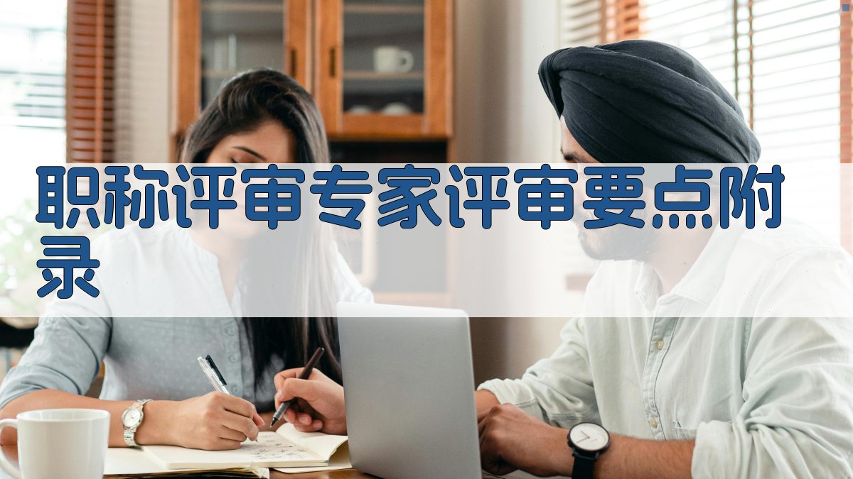 职称评审专家评审要点 · 附录 图4