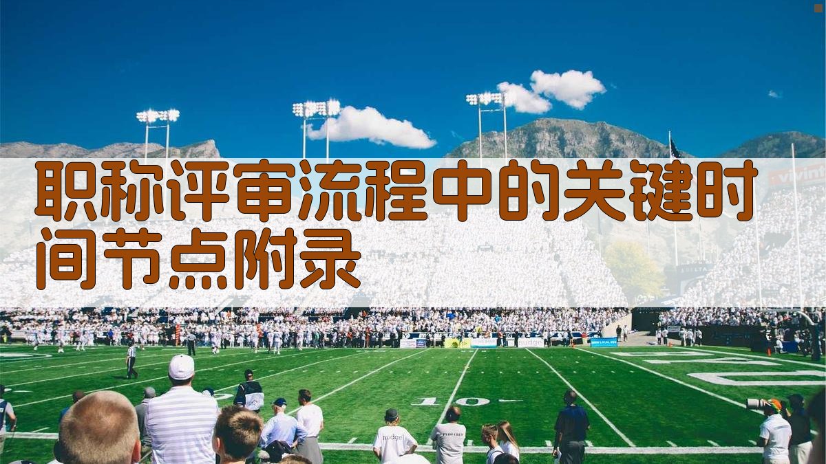 职称评审流程中的关键时间节点 · 附录 图3