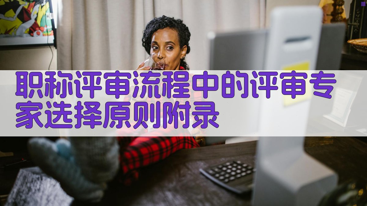 职称评审流程中的评审专家选择原则 · 附录 图2