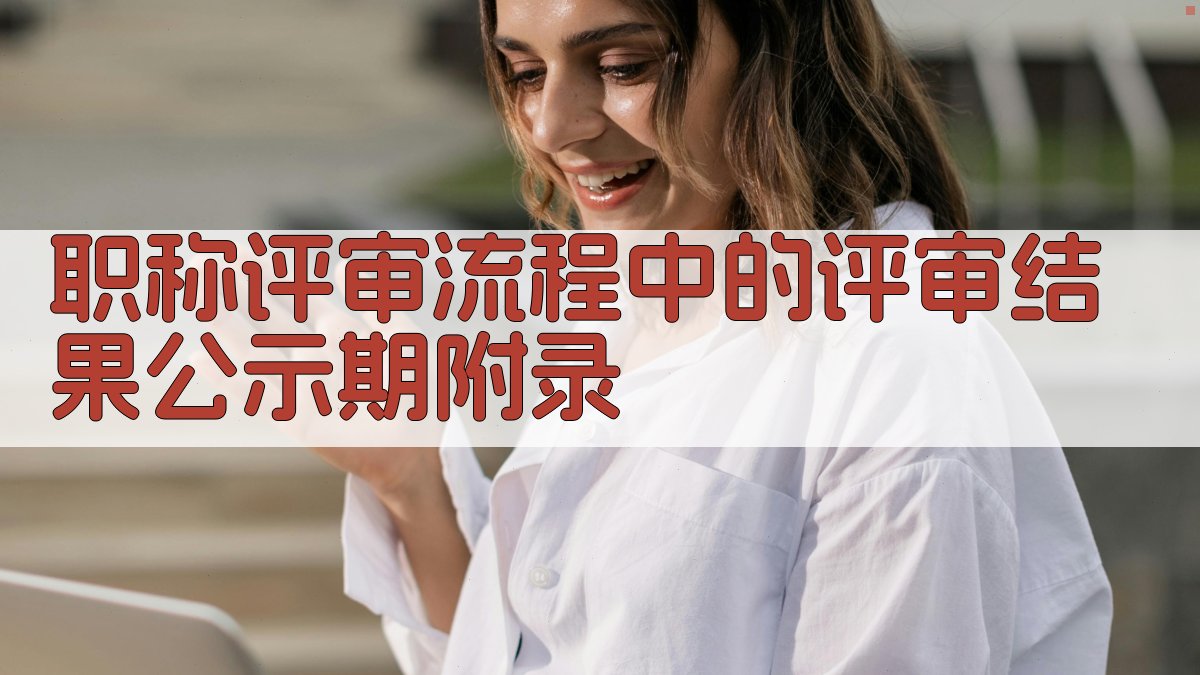 职称评审流程中的评审结果公示期 · 附录 图3