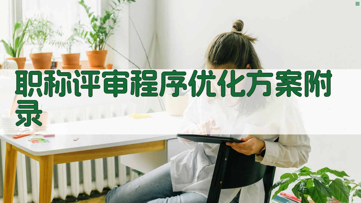 职称评审程序优化方案 · 附录 图4