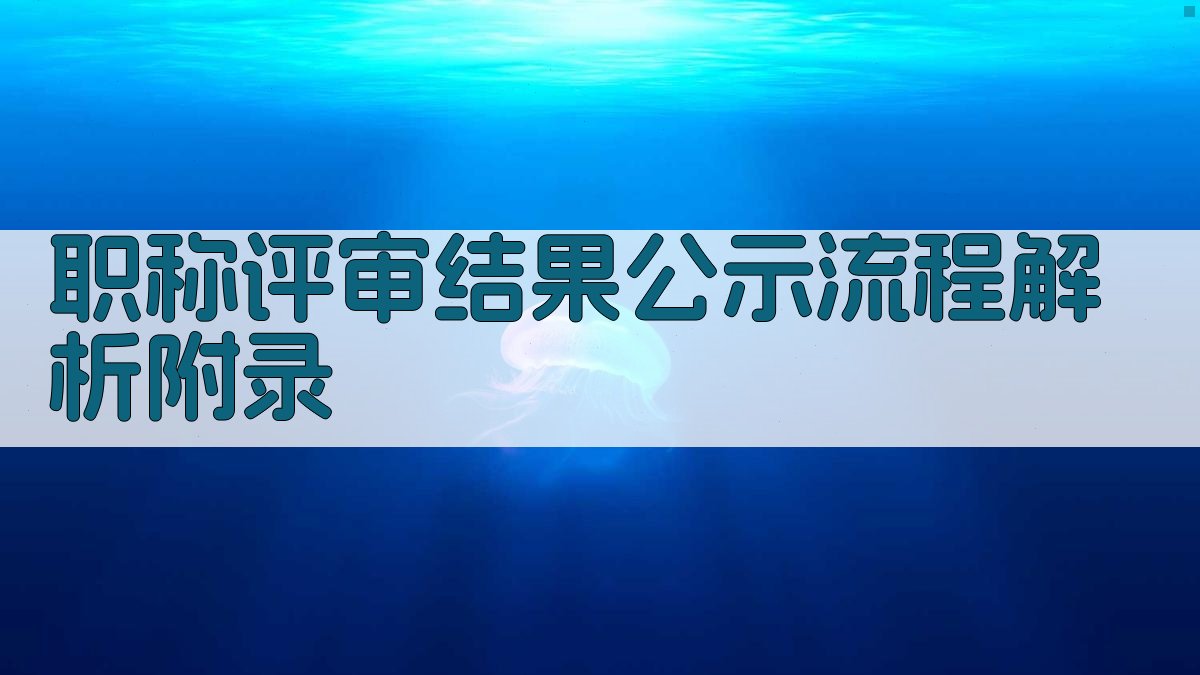 职称评审结果公示流程解析 · 附录 图1