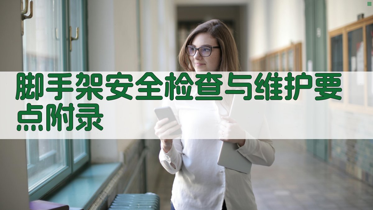 脚手架安全检查与维护要点 · 附录 图3