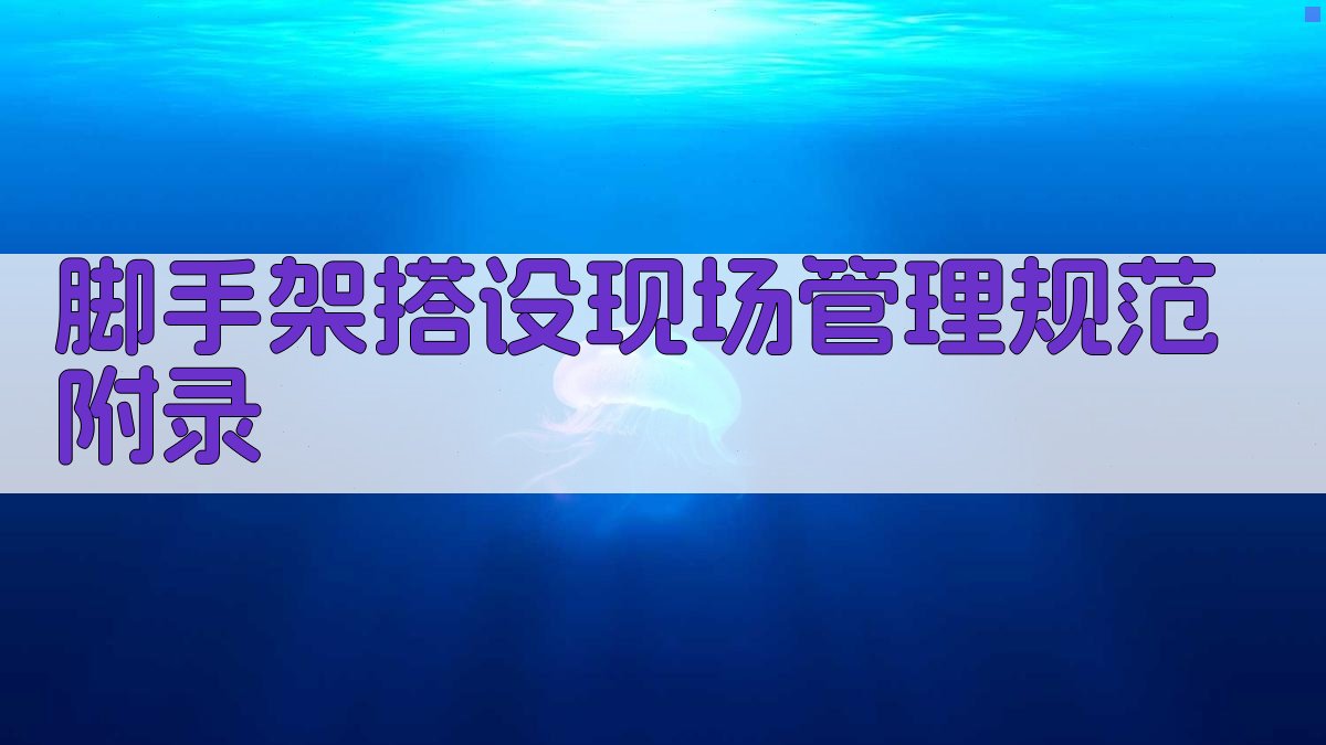 脚手架搭设现场管理规范 · 附录 图5